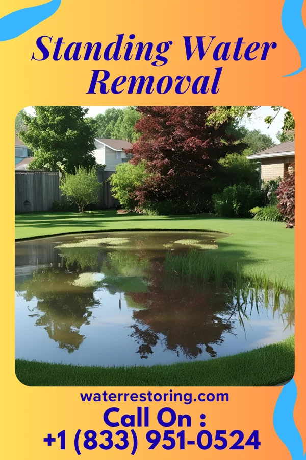 Standing Water Removal in Harmony, IN